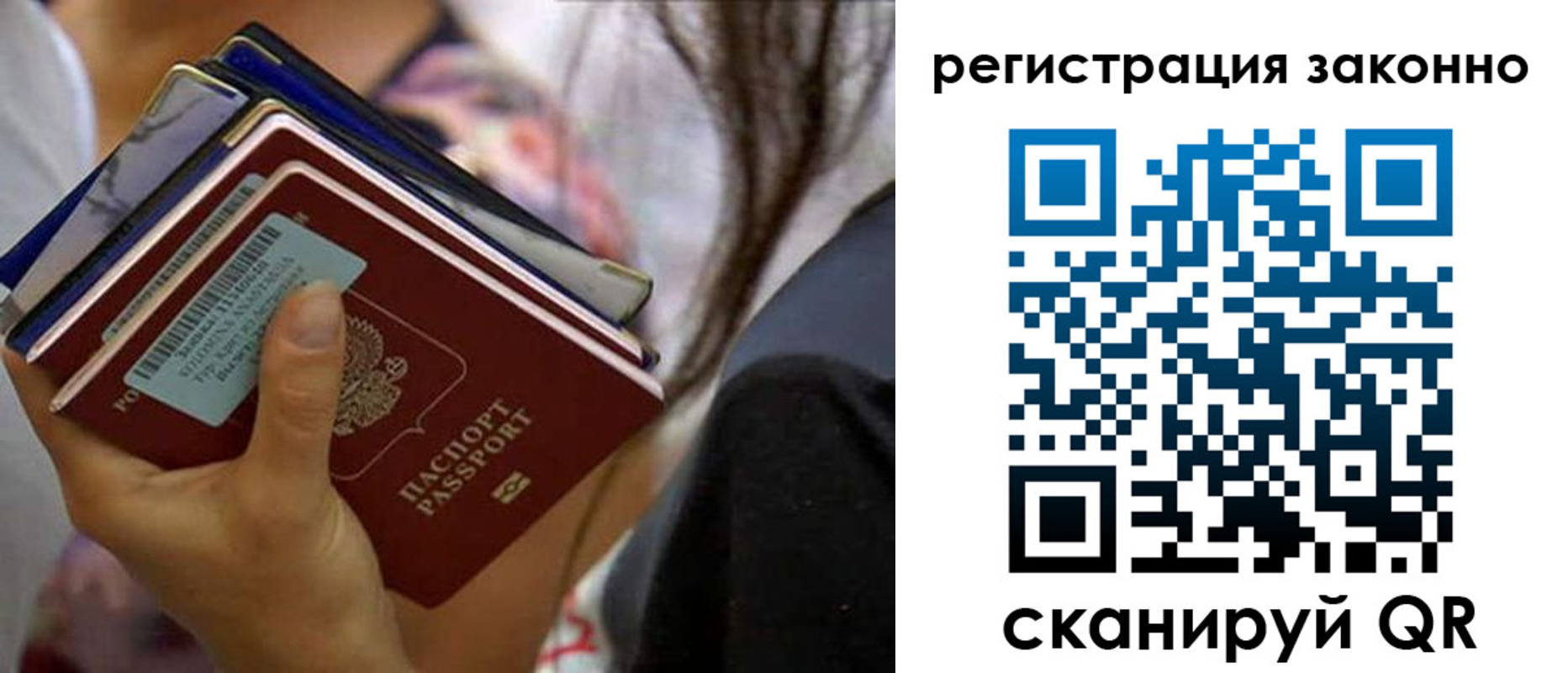 прописка в Волосово